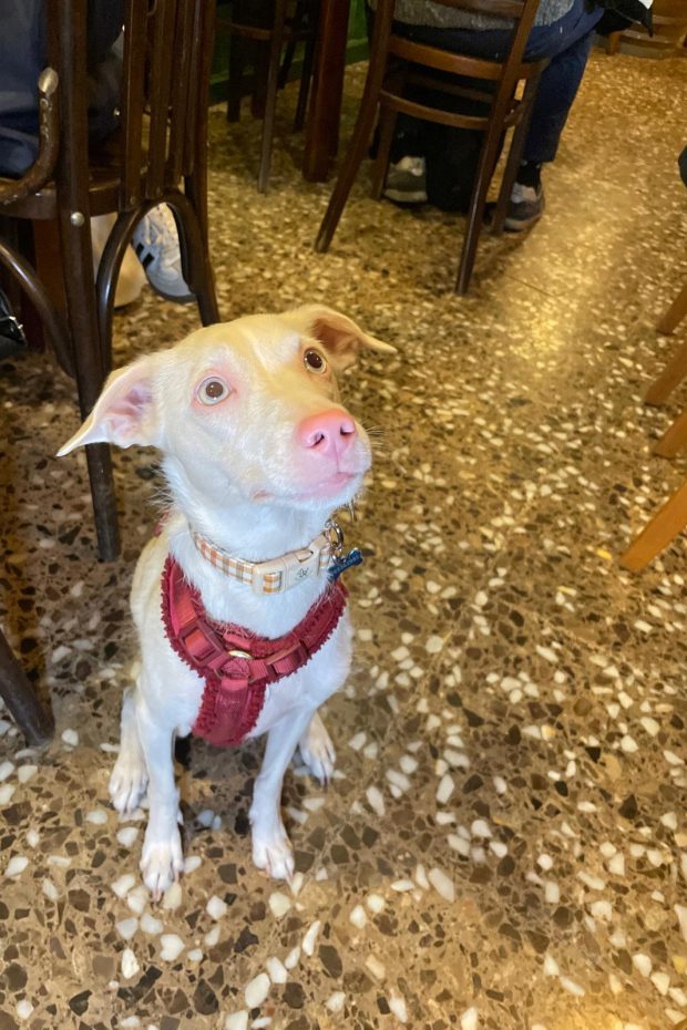 68a39678-c80d-49ea-aedf-eb7e55e74cc1 2