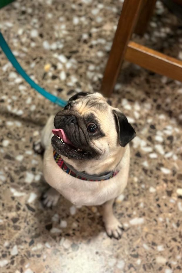 Còpia de WhatsApp Image 2024-02-18 at 14.41.49