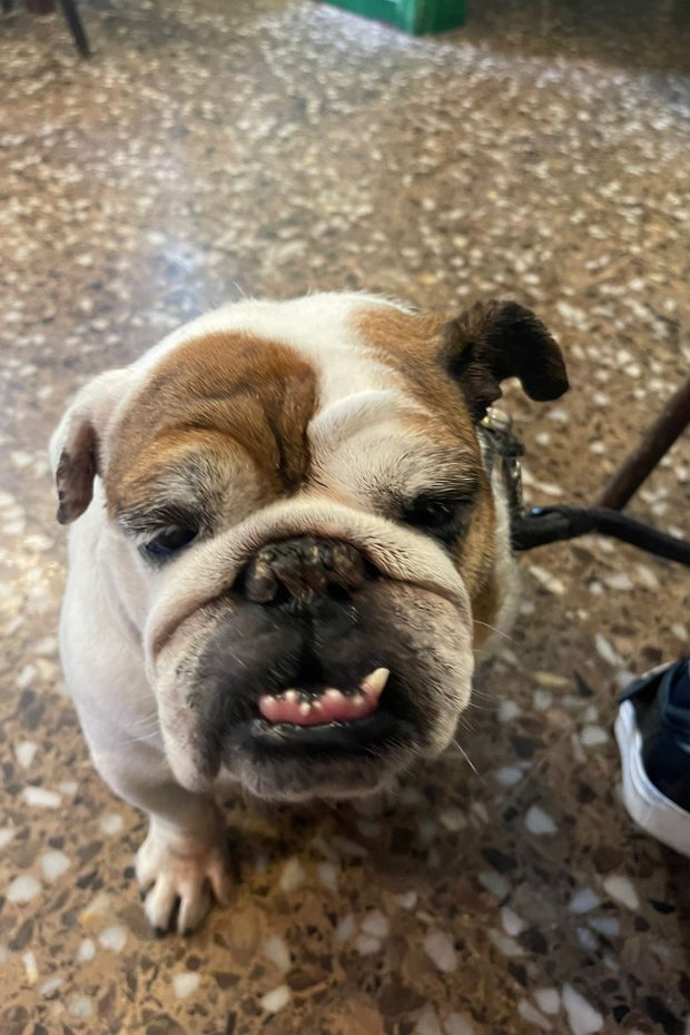 Còpia de WhatsApp Image 2024-02-19 at 08.22.35 (3)