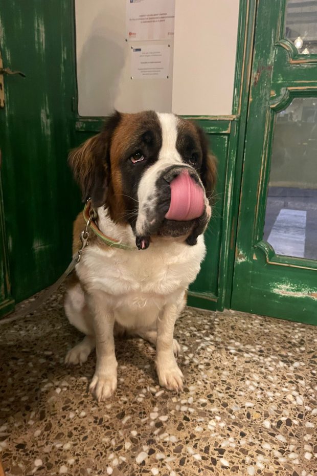 Còpia de WhatsApp Image 2024-02-19 at 08.22.36 (5)